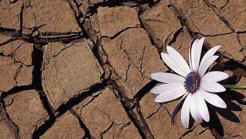 蹲厕所看报纸超三分钟易致肛裂 广州东大医院评价